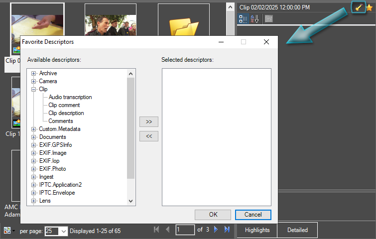editing_descriptors
