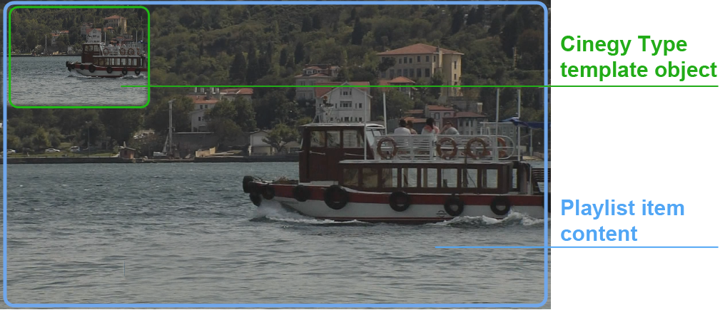 live_video_option