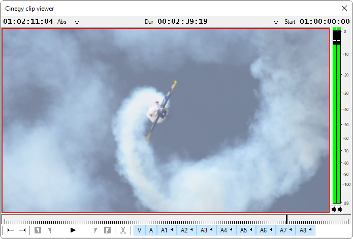 audio_track_selection