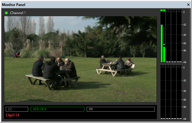 preview_panel_single_mode