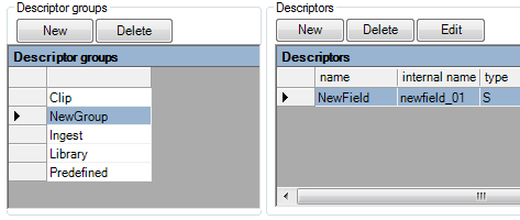 14_DBM_descriptors_main_field