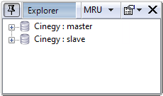 slave_db_in_explorer