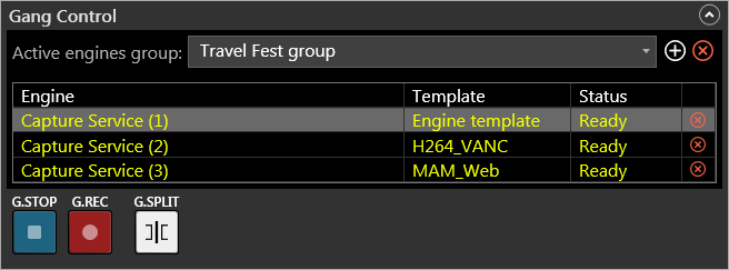 Gang_Control_panel