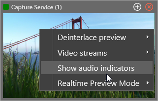 Show_audio_indicators