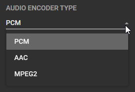 Audio Encoder Type