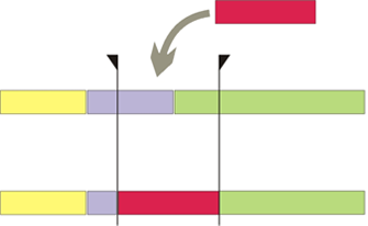 Overwrite_mode