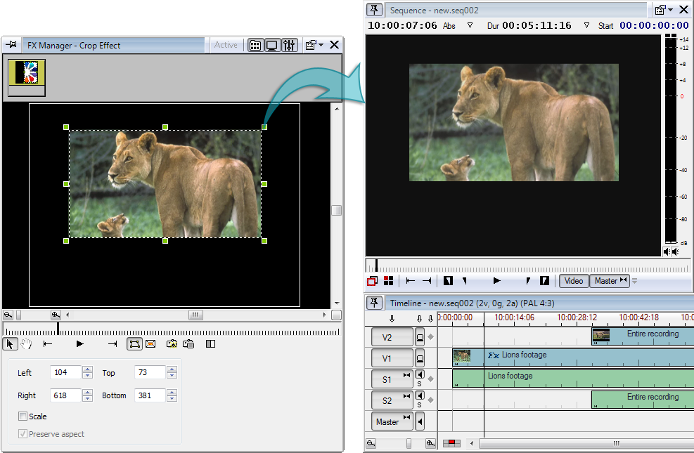 FX_manager_crop