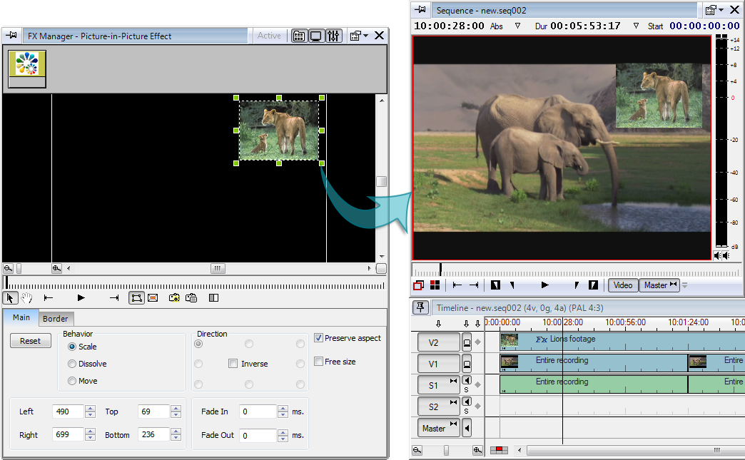 FX_manager_picture_in_picture