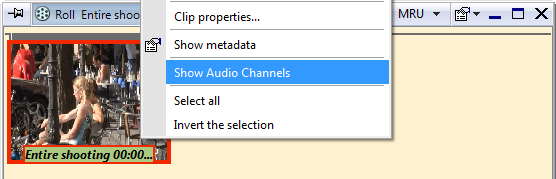 Show_audio_channels
