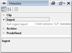 ingest report_XML format