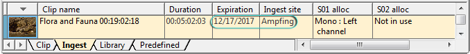 read_only_premissions