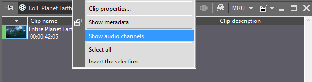 Show_audio_channels