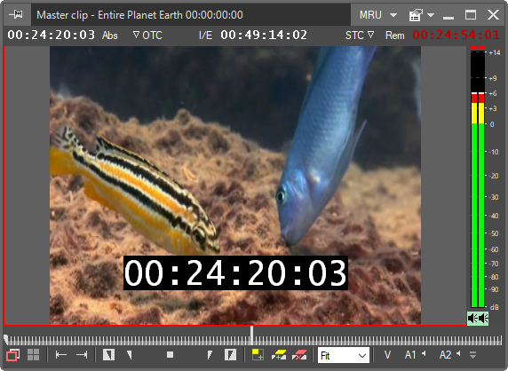 on-screen timecode_in_viewer