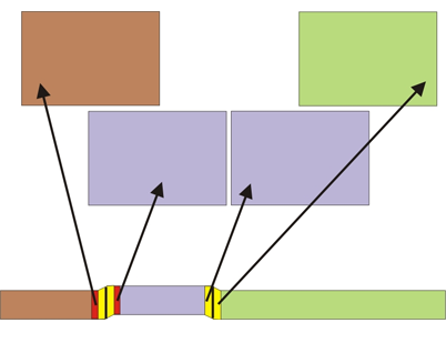 4PointTrimmedFrames