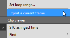 Export_current_frame02
