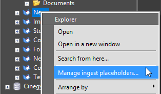 Explorer_Manage Ingest placeholder_command