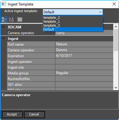 import_tool_ingest_template
