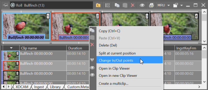 Subclip_in_out_points