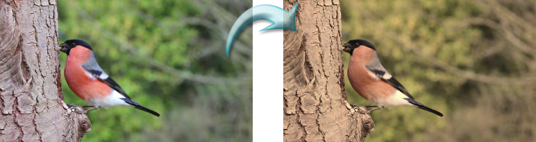 after_recolor