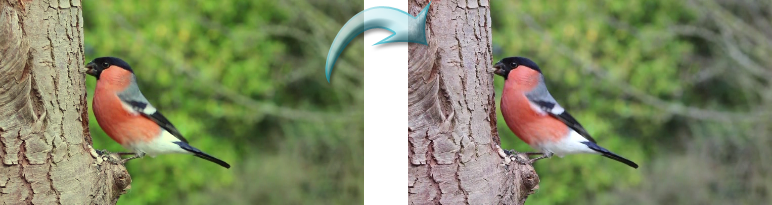 after_white_balance