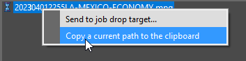 copy_path