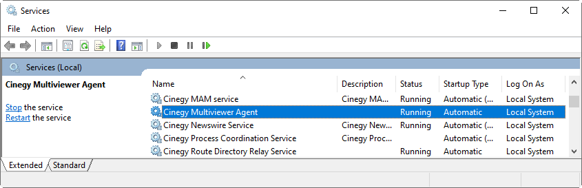 multiviewer_agent_windows_service