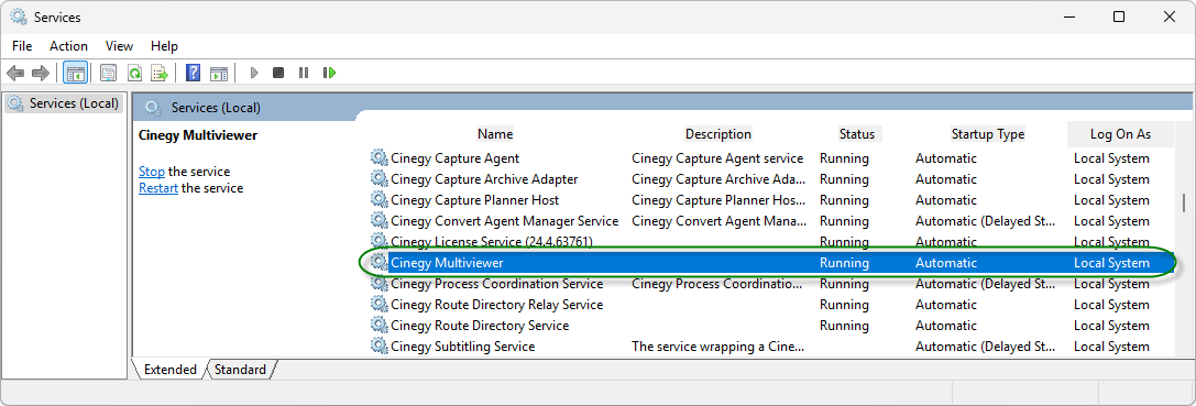 multiviewer_started_as_WS