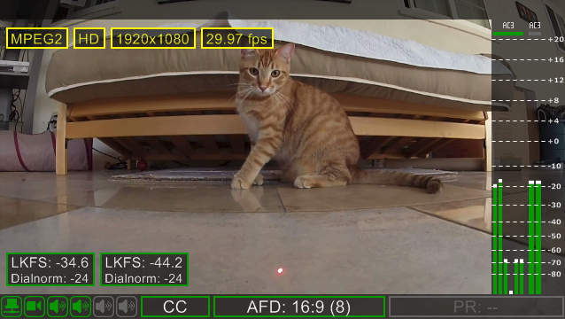 player_draw_indicators